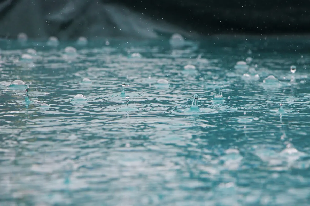 Monsoon Dairy Business: Challenges and Solutions